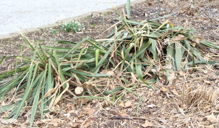 ???????????????????????????????