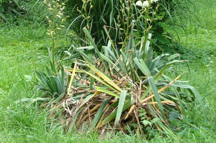 ???????????????????????????????