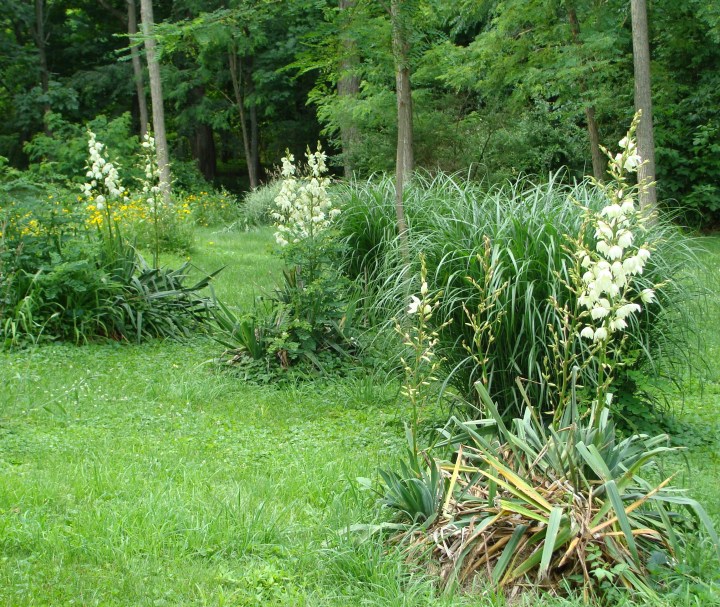 ???????????????????????????????