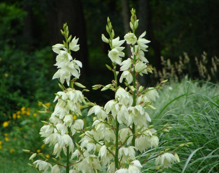 ???????????????????????????????