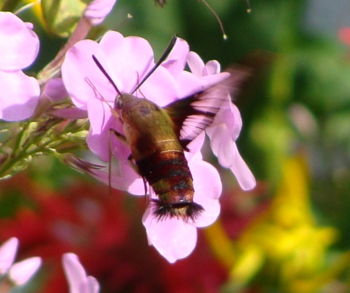 ???????????????????????????????