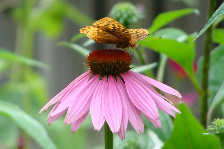 ???????????????????????????????