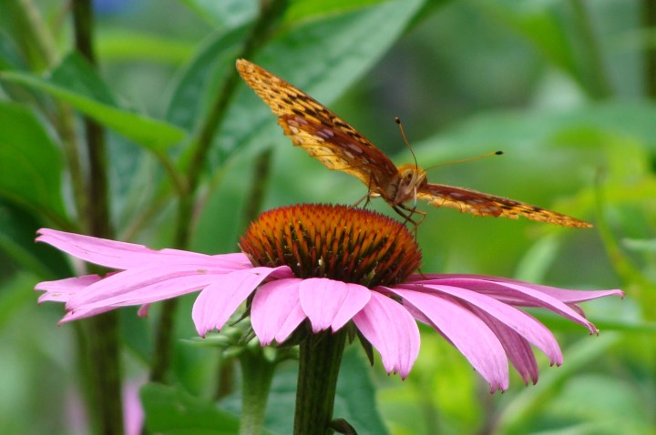 ???????????????????????????????