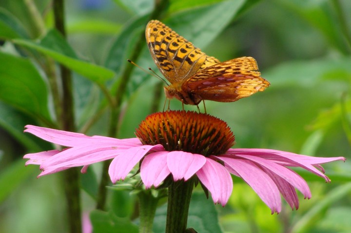 ???????????????????????????????