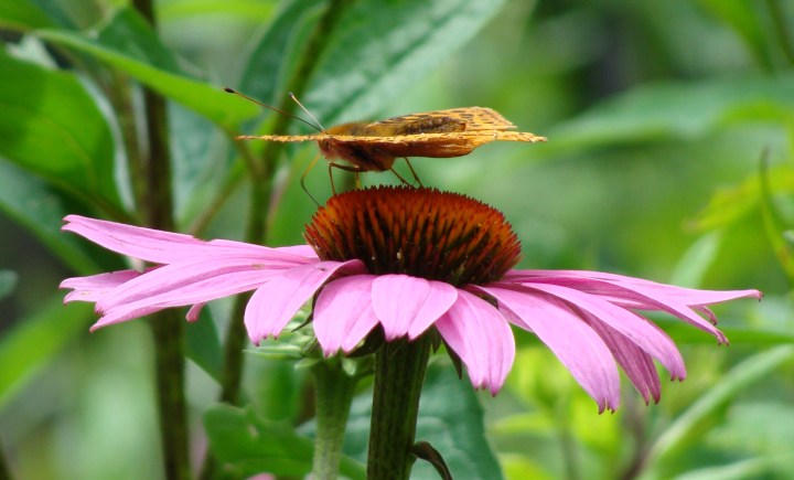 ???????????????????????????????