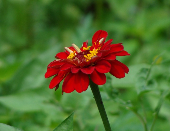 ???????????????????????????????