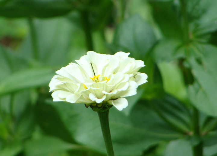 ???????????????????????????????