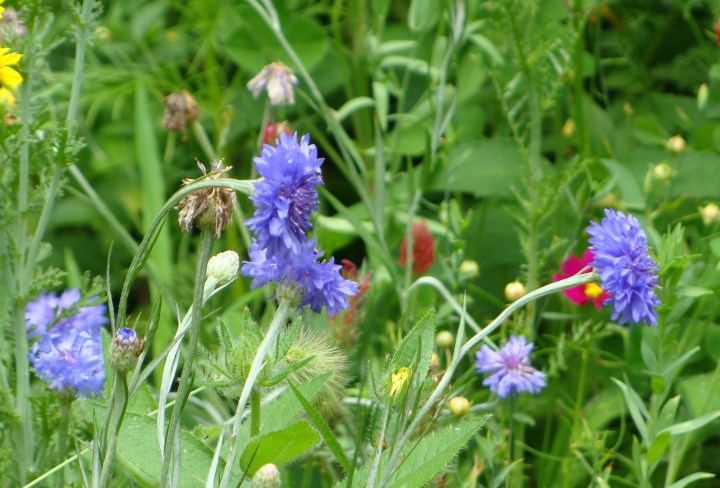 ???????????????????????????????