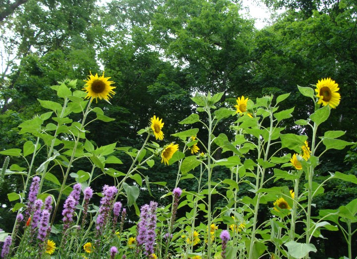 ???????????????????????????????