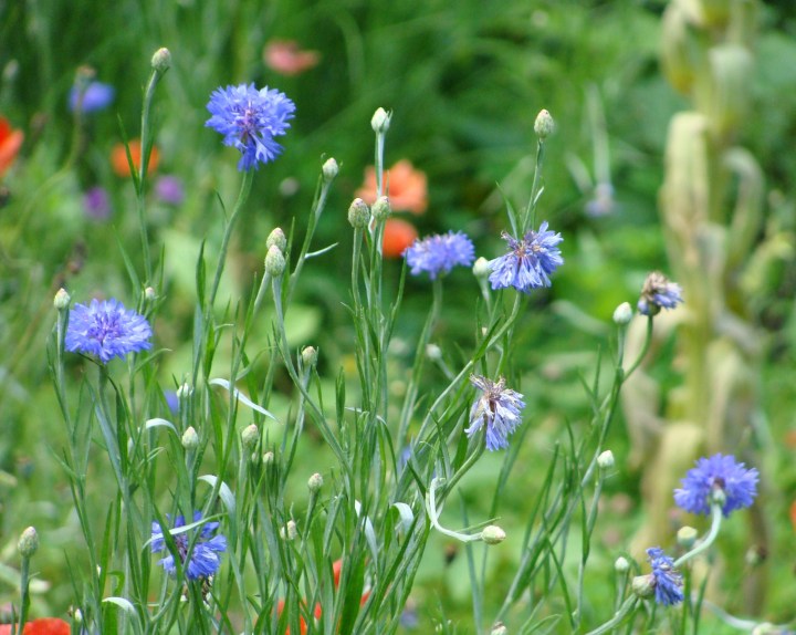 ???????????????????????????????