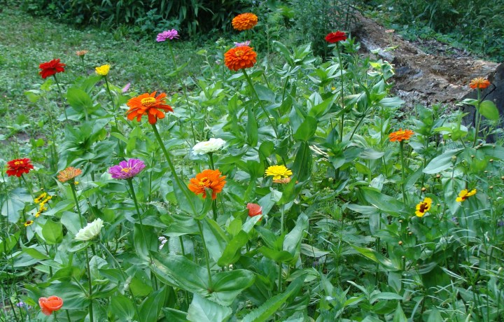 ???????????????????????????????