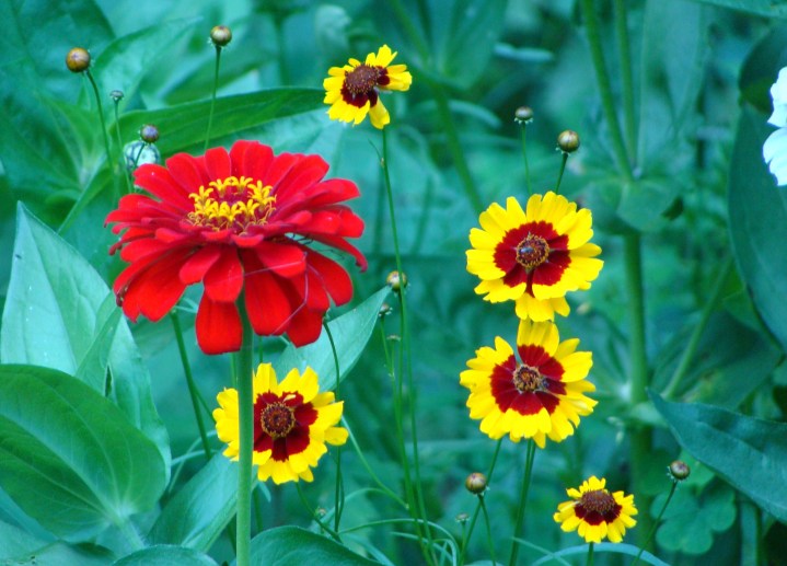 ???????????????????????????????