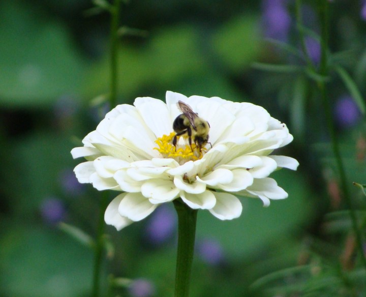 ???????????????????????????????