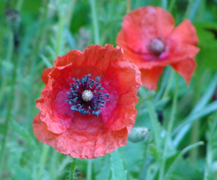 ???????????????????????????????