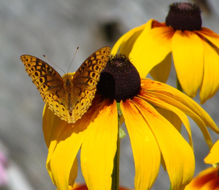 ???????????????????????????????