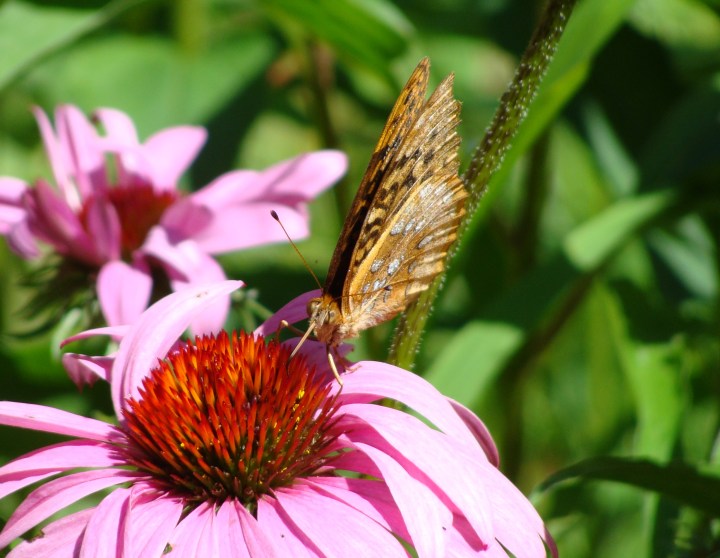 ???????????????????????????????