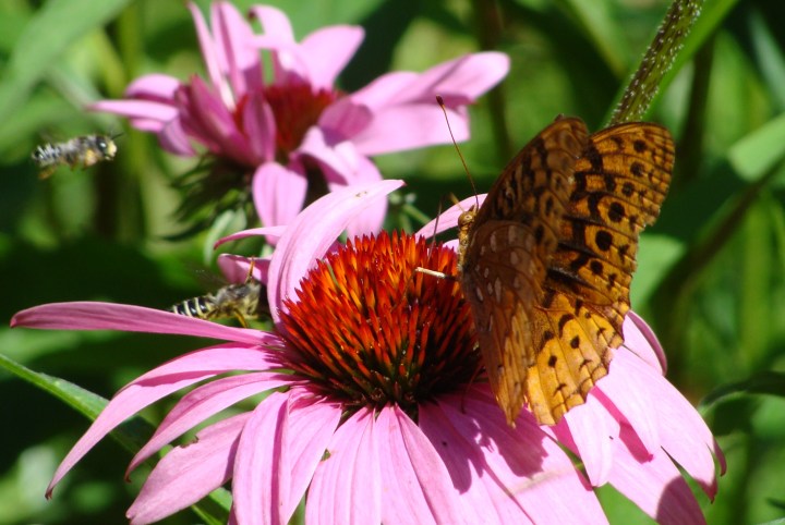 ???????????????????????????????