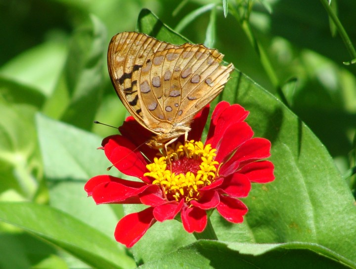 ???????????????????????????????