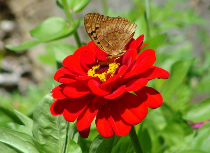 ???????????????????????????????