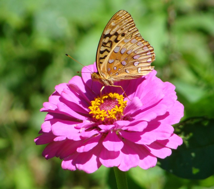 ???????????????????????????????