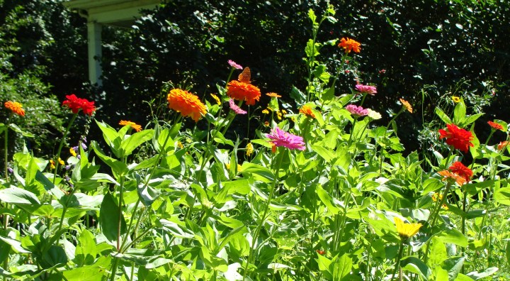 ???????????????????????????????