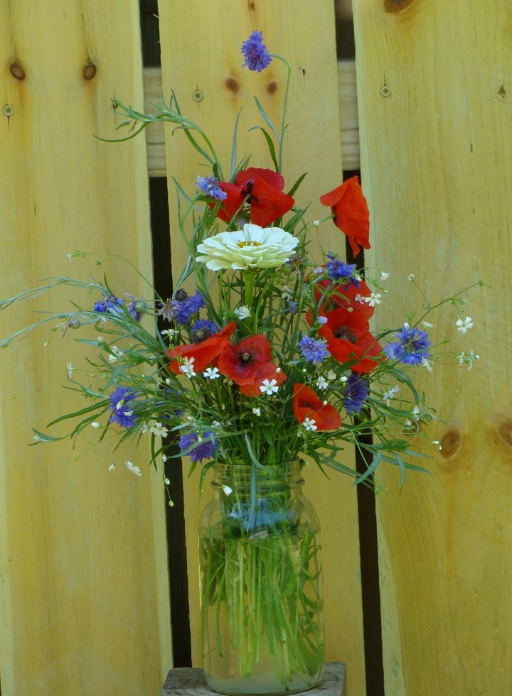 ???????????????????????????????