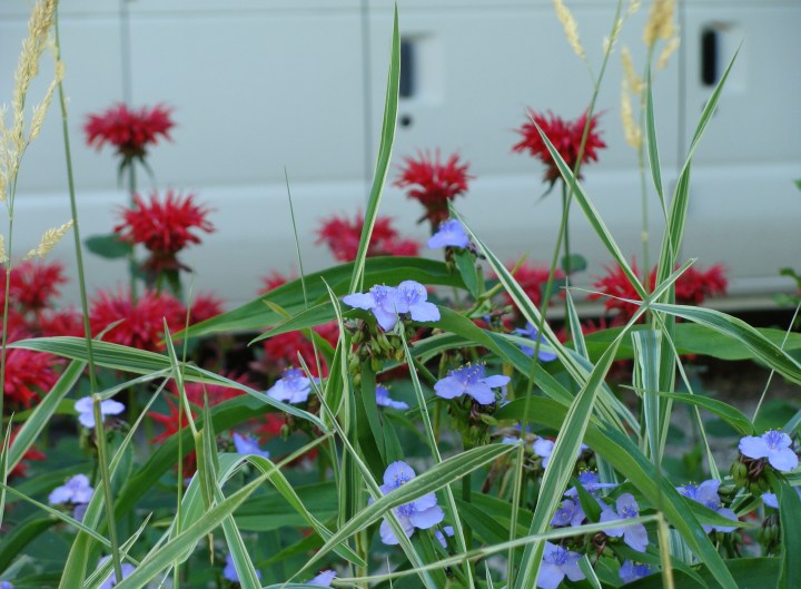 ???????????????????????????????