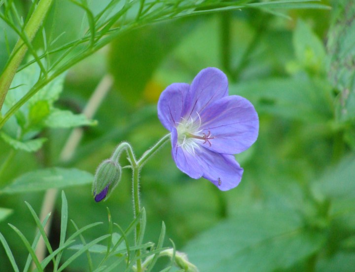 ???????????????????????????????