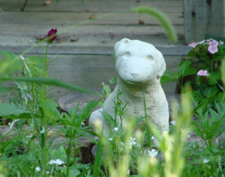 ???????????????????????????????