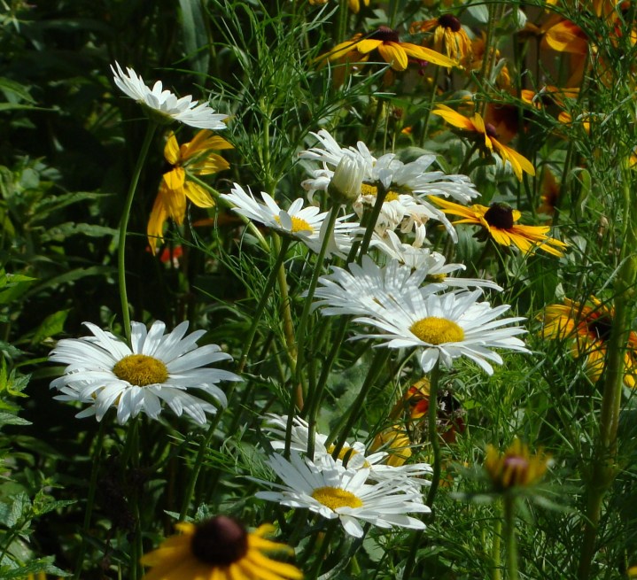 ???????????????????????????????