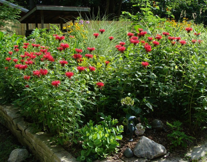 ???????????????????????????????