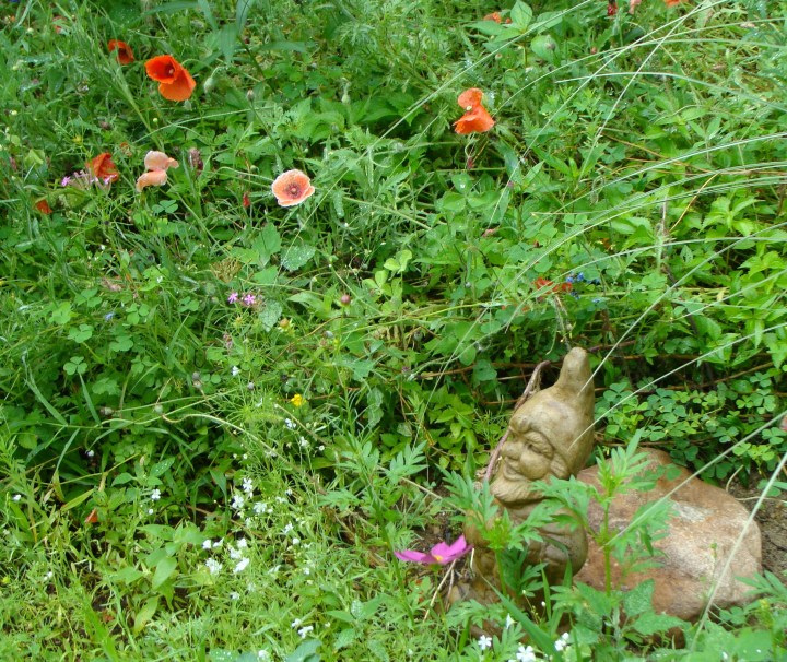 ???????????????????????????????