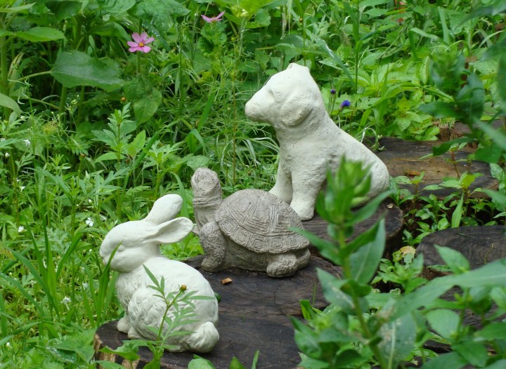 ???????????????????????????????