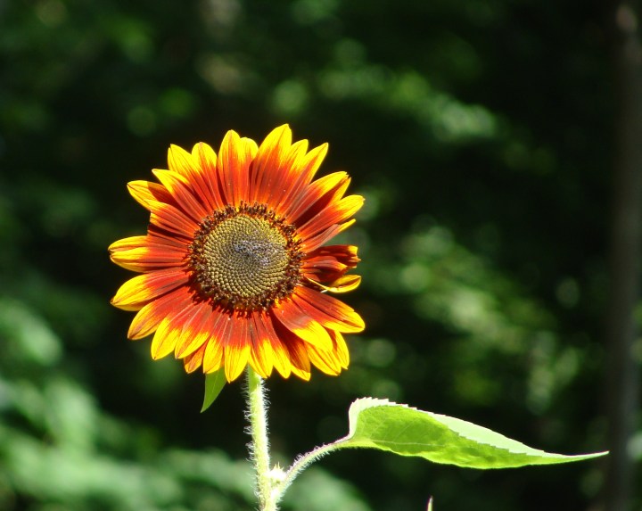 ???????????????????????????????