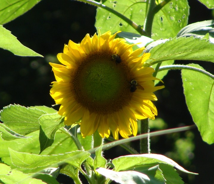 ???????????????????????????????