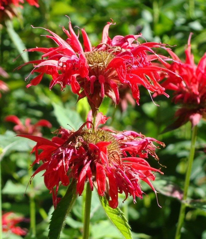 ???????????????????????????????