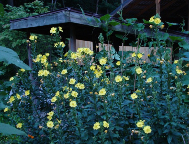 ???????????????????????????????