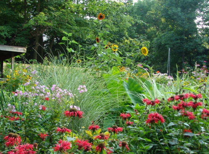 ???????????????????????????????