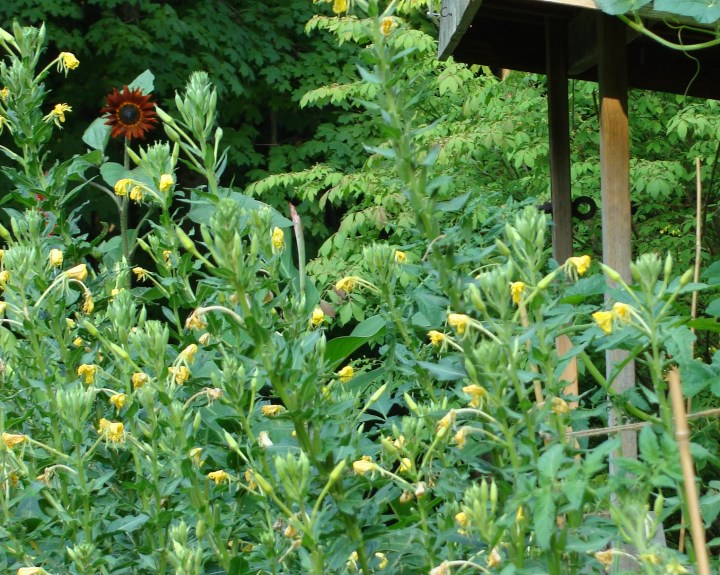 ???????????????????????????????