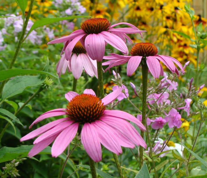 ???????????????????????????????