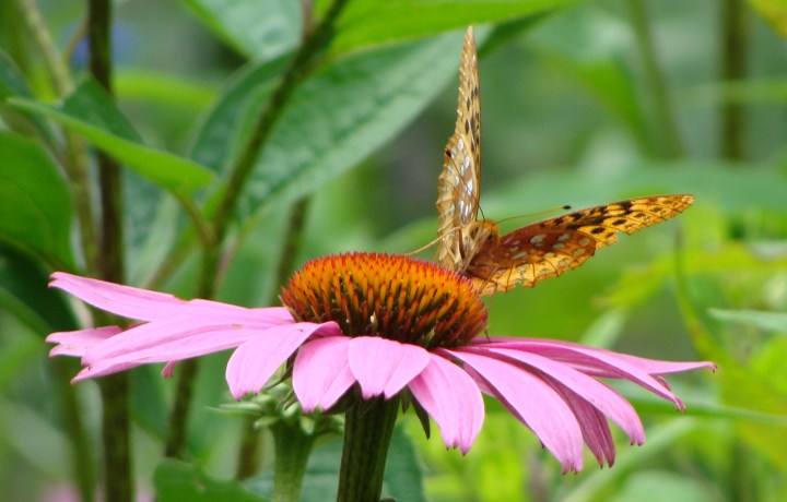 ???????????????????????????????