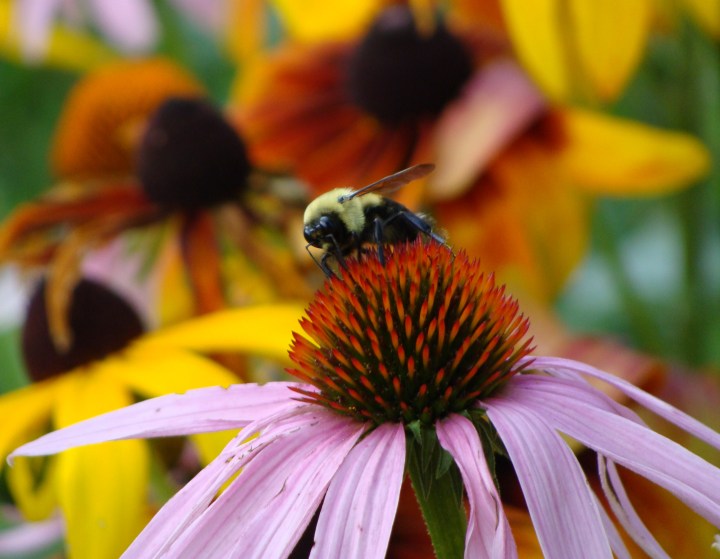 ???????????????????????????????