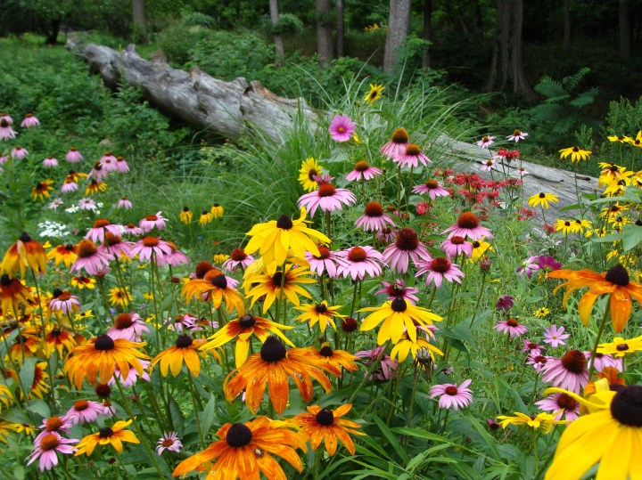 ???????????????????????????????