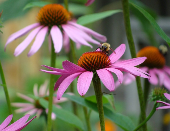 ???????????????????????????????