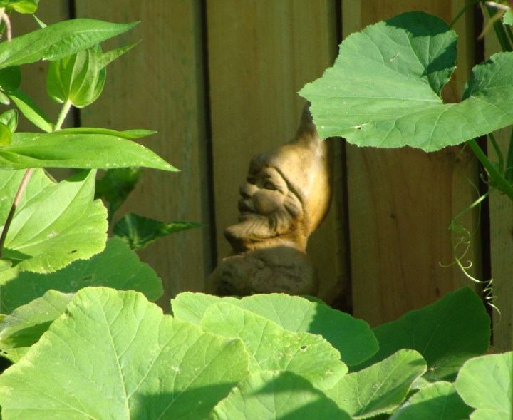 ???????????????????????????????