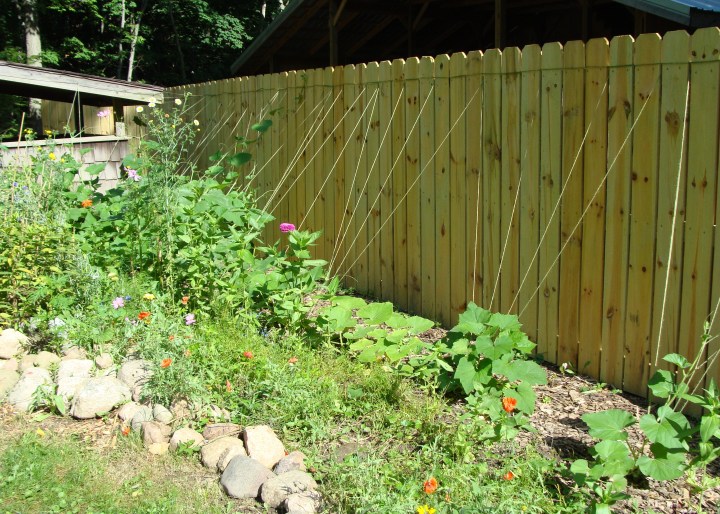 ???????????????????????????????