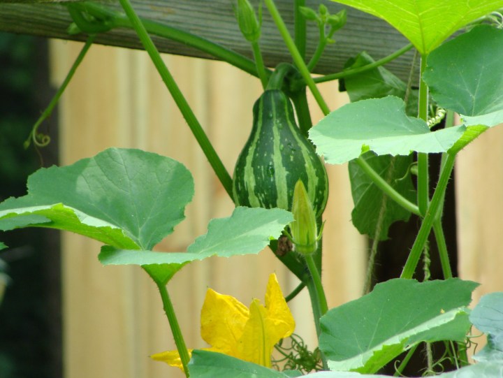 ???????????????????????????????