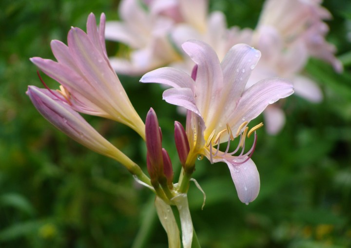 ???????????????????????????????