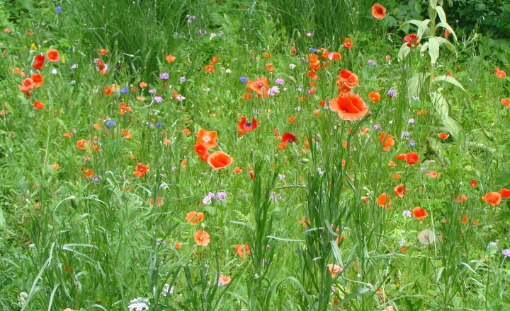 ???????????????????????????????