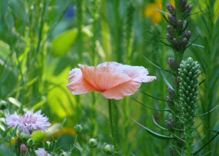 ???????????????????????????????